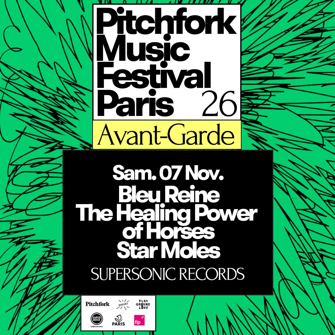 Pitchfork Avant-Garde : Bleu Reine, The Healing Power of Horses, Star Moles